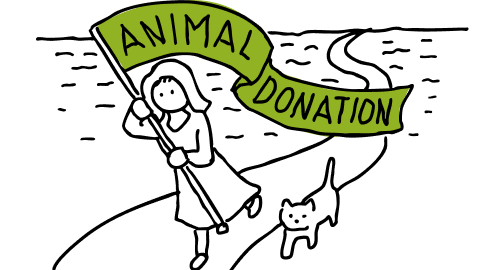 アニドネ設立からの活動実績