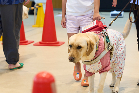 商品の一部を寄付★2025年11月分★合同会社EXNOA様、株式会社Reach Script様、株式会社クロノス様、chicoどうぶつ診療所様、ブックオフコーポレーション株式会社様、kakuo gadgets様、ペットアロマウェルビーイング協会＆Le cocon様、HORSEHEAD LABS株式会社様、愛眼株式会社様、Next up株式会社様、株式会社Insity様、株式会社スタジオY.D.U様、東京PET HOTEL様