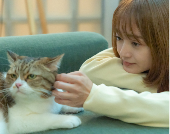 猫と戯れる人間の様子