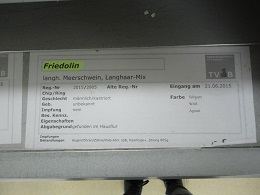 Friedolin情報 - コピー