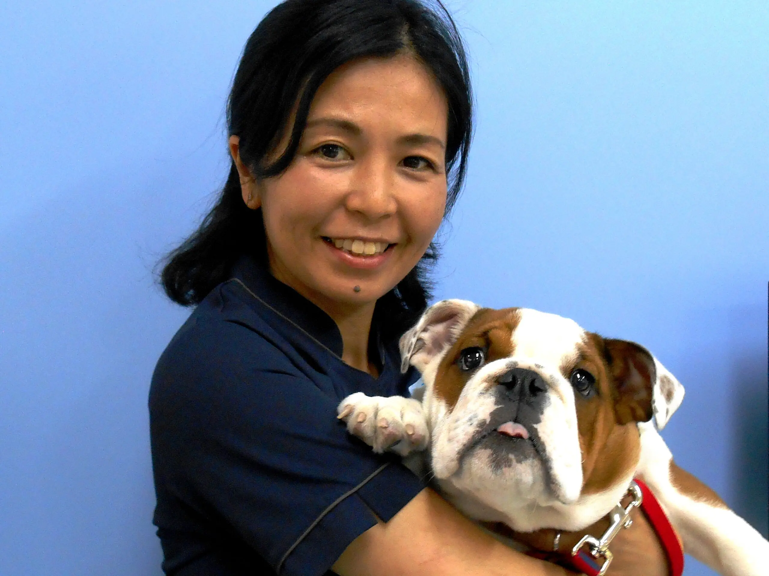 公益社団法人 日本動物病院協会 JAHA | 寄付で拡げる犬猫の未来ー確か