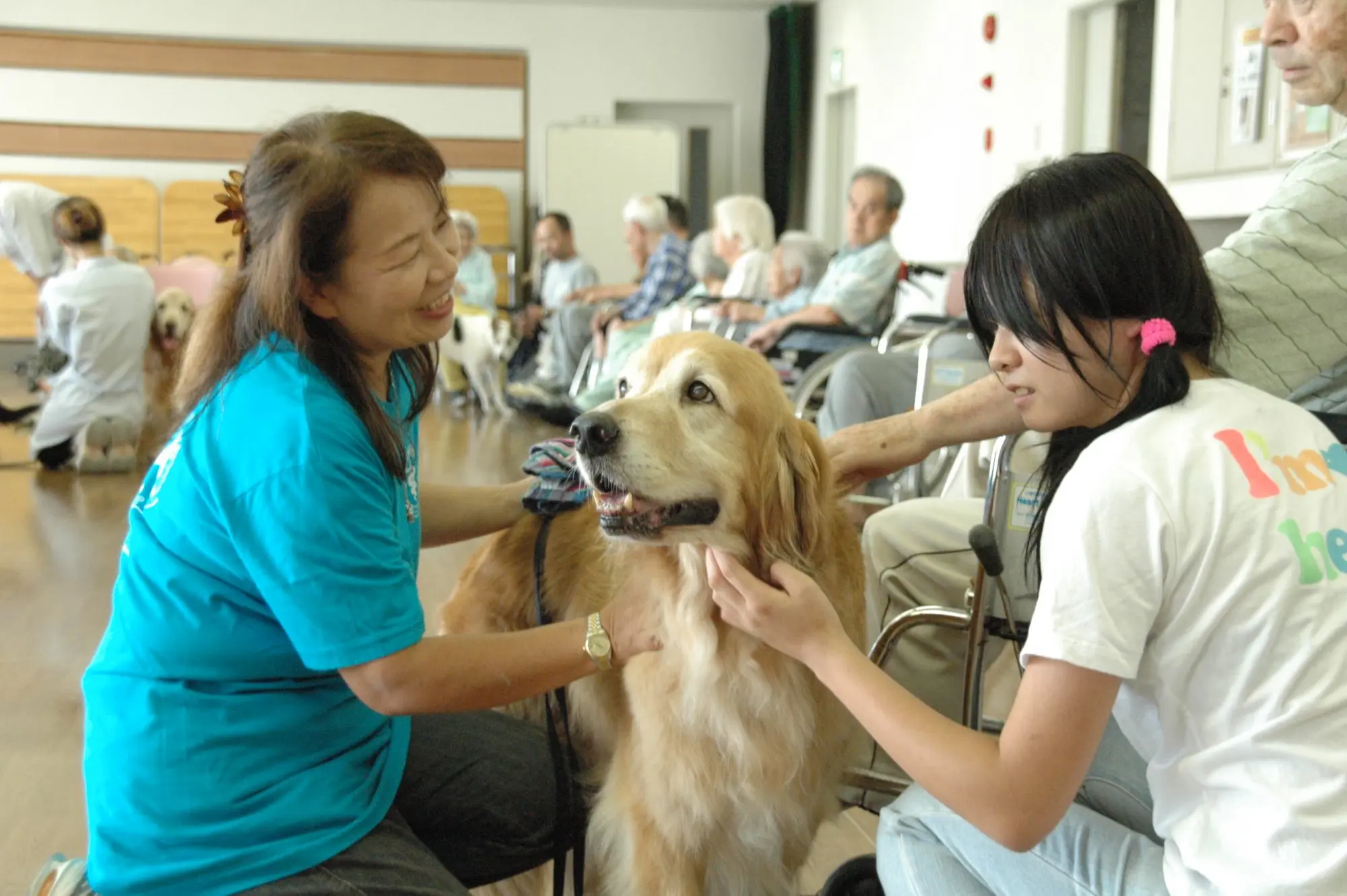 公益社団法人 日本動物病院協会 JAHA | 寄付で拡げる犬猫の未来ー確か