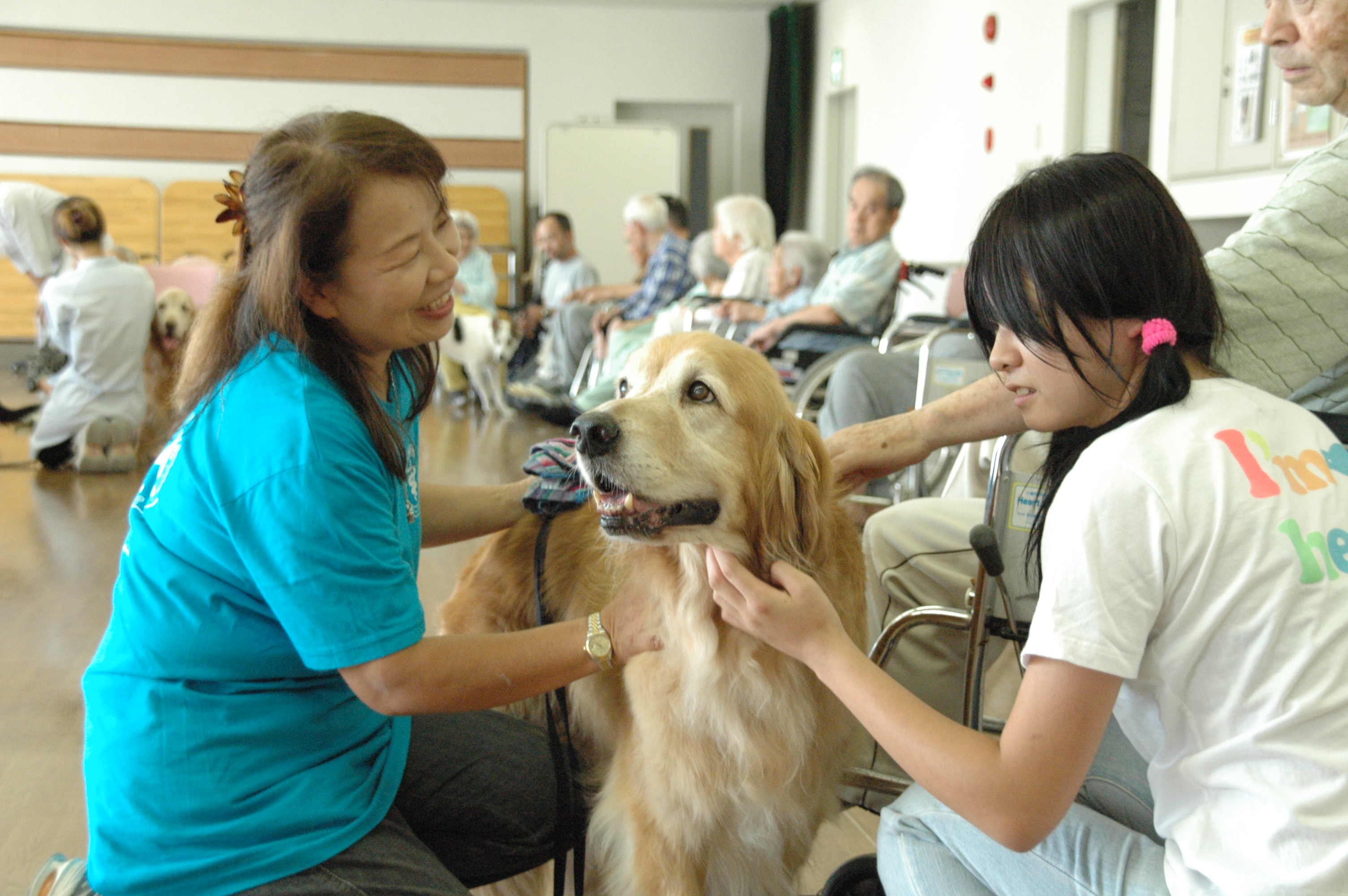 公益社団法人 日本動物病院協会 JAHA | 寄付で拡げる犬猫の未来ー確か