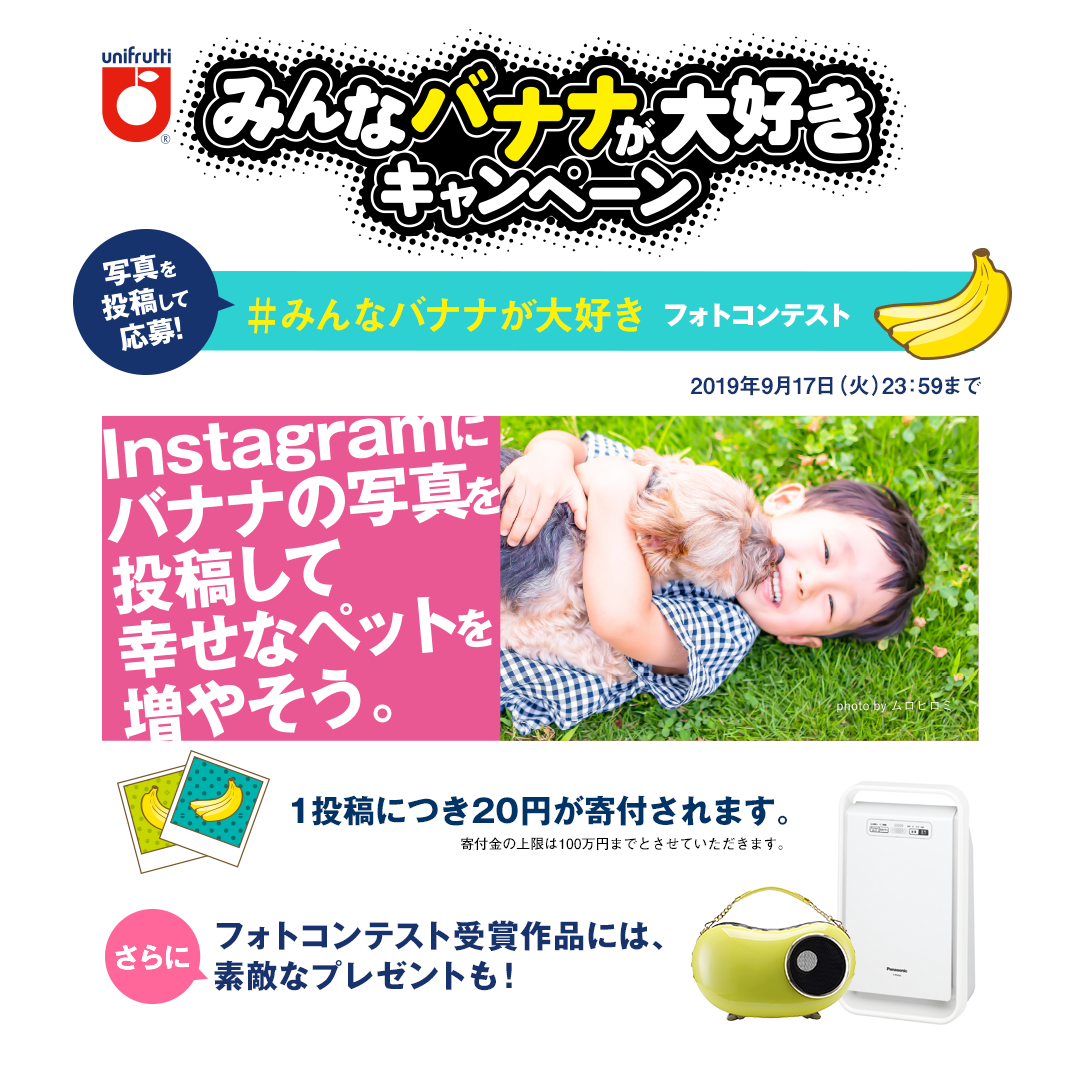 insta_190613.png.webp