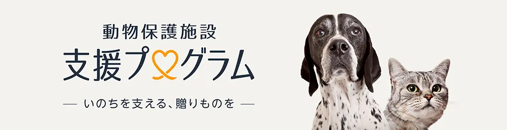 Amazonの「動物保護施設 支援プログラム」に協力 | 寄付で拡げる犬猫の
