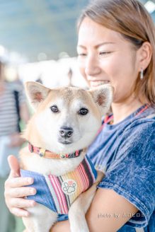 はーとinはーと里親さん