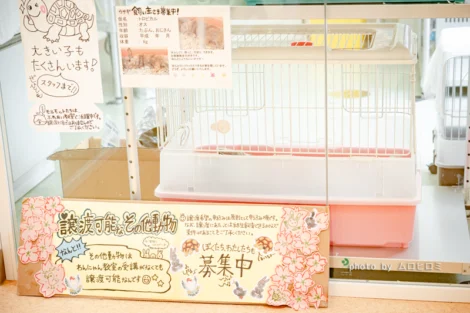 神奈川県動物愛護センター 見学レポート | 寄付で拡げる犬猫の未来ー 