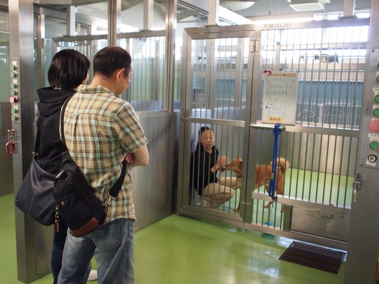 札幌市動物管理センター 福移支所 見学レポート 日本初・動物のためのオンライン寄付サイト