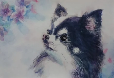 ペットのオーダーメイド水彩画や動物の絵画の購入が動物福祉の寄付に