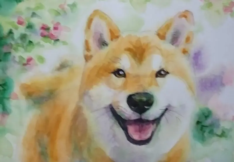 ペットのオーダーメイド水彩画や動物の絵画の購入が動物福祉の寄付に