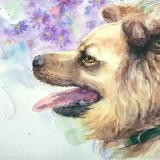 ペットのオーダーメイド水彩画や動物の絵画の購入が動物福祉の寄付に