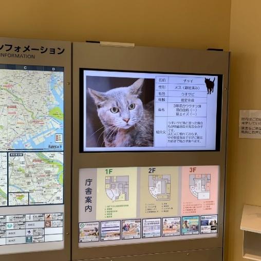 行政施設レポート Animal Donation 日本初 動物のためのオンライン寄付サイト