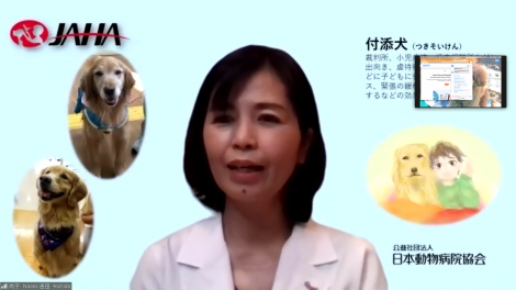日本動物病院協会(JAHA)】傷ついた子どもの心に寄り添う＜付添犬