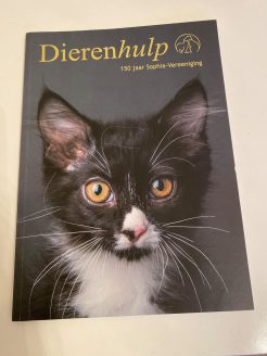 世論に働きかける 150年の歴史を持つ動物福祉組織 海外情報レポート オランダ編 Animal Donation 日本初 動物のためのオンライン寄付サイト