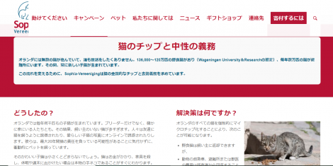 世論に働きかける 150年の歴史を持つ動物福祉組織 海外情報レポート オランダ編 Animal Donation 日本初 動物のためのオンライン寄付サイト