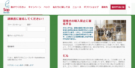 世論に働きかける 150年の歴史を持つ動物福祉組織 海外情報レポート オランダ編 Animal Donation 日本初 動物のためのオンライン寄付サイト