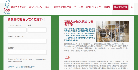 世論に働きかける 150年の歴史を持つ動物福祉組織 海外情報レポート オランダ編 日本初 動物のためのオンライン寄付サイト