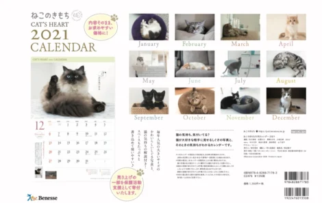 うちのこ肖像画　売り上げの一部を地元の犬猫保護団体に寄付させて頂きます ベネッセコーポレーション様からの寄付のご報告 | 寄付で拡げる犬猫の