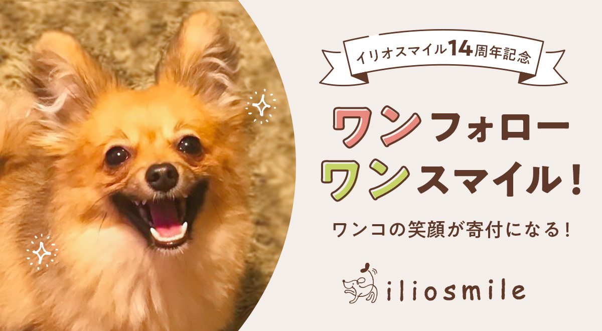 愛犬の笑顔投稿が寄付になる！犬用自然派おやつ専門店iliosmile（イリオスマイル）