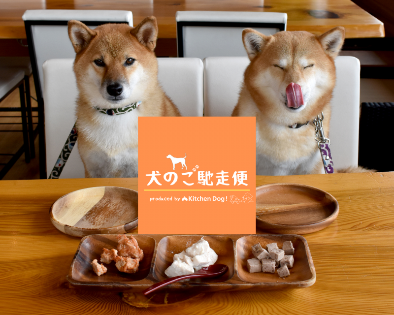 公益社団法人アニマル ドネーション 日本初 動物のためのオンライン寄付サイト