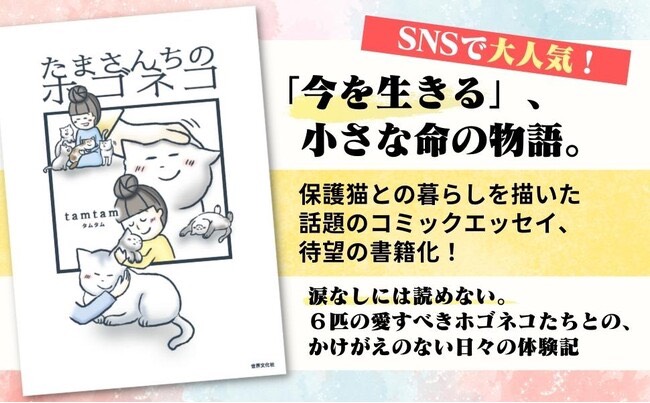 アニドネへの寄付付きコミック「たまさんちのホゴネコ」