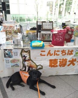 聴導犬イベント