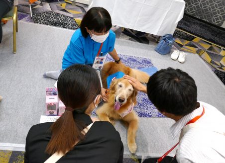 働く犬ブースで一般参加者とふれあうセラピー犬