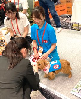 働く犬ブースで一般参加者とふれあうセラピー犬