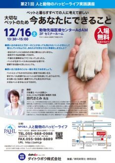 犬猫のために