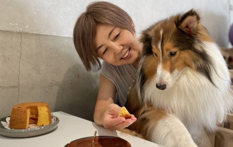 犬と一緒に食べられるケーキ。無為自然