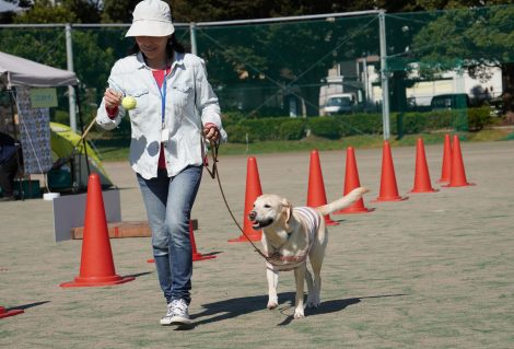 犬スプーンレース