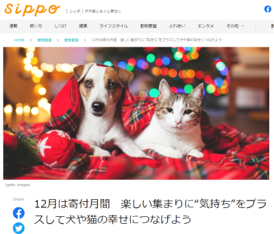 sippo　12月は寄付月間