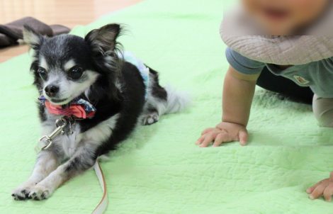 いつものぬいぐるみと、なんか違うなぁ~??
