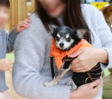 ちっちゃくて可愛いね~
