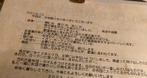 猫の取扱説明書