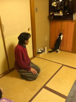 保護猫ハーバちゃんと里親さん