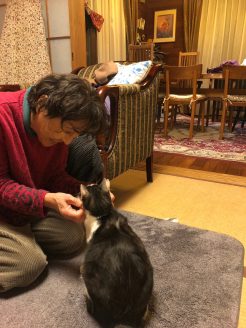 保護猫と永年預かりさん