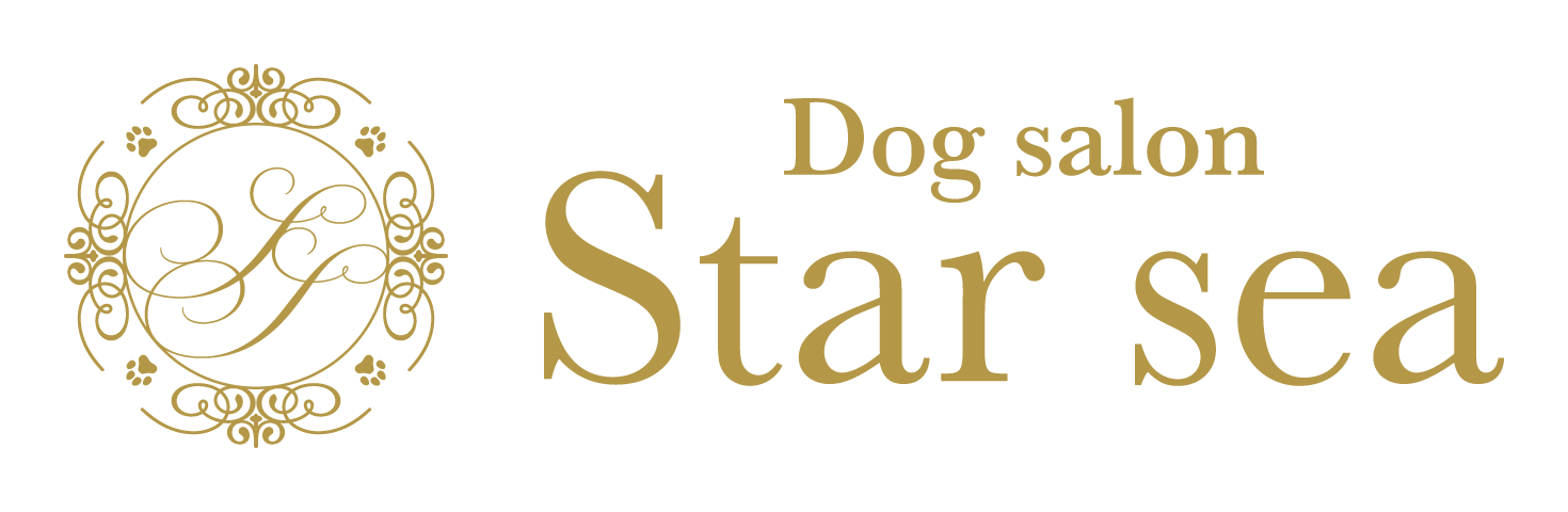 Star sea