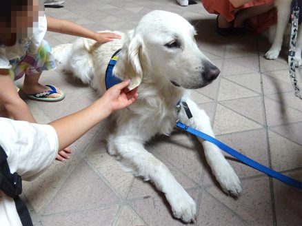 DI犬に集まる子どもたち