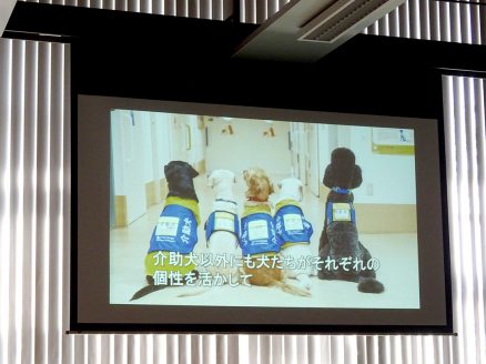 介助犬協会の活動報告