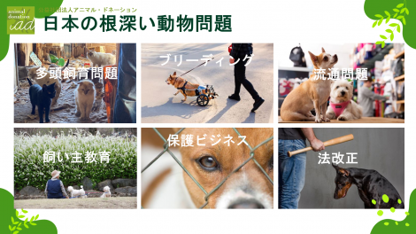 アニドネセミナー資料 千葉県中小企業家同友会