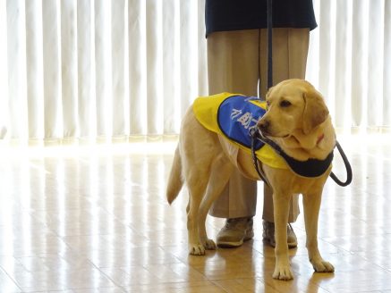 感謝の集いに参加の犬