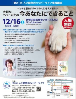 動物