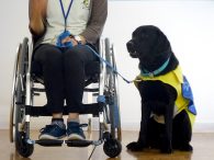 デモンストレーション2