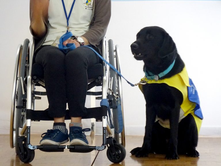 デモンストレーション2