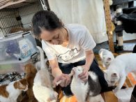 ねこひげハウスさんの投薬の様子