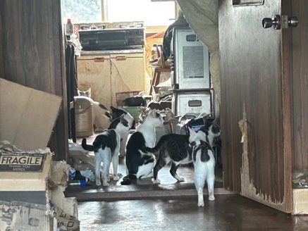 保護現場