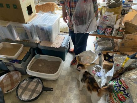 多頭飼育崩壊の現場(函館)