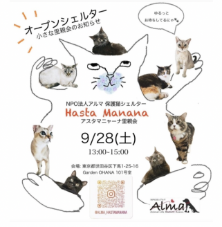 オープンシェルターお知らせ