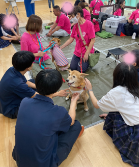 保護犬とふれあう高校生たち